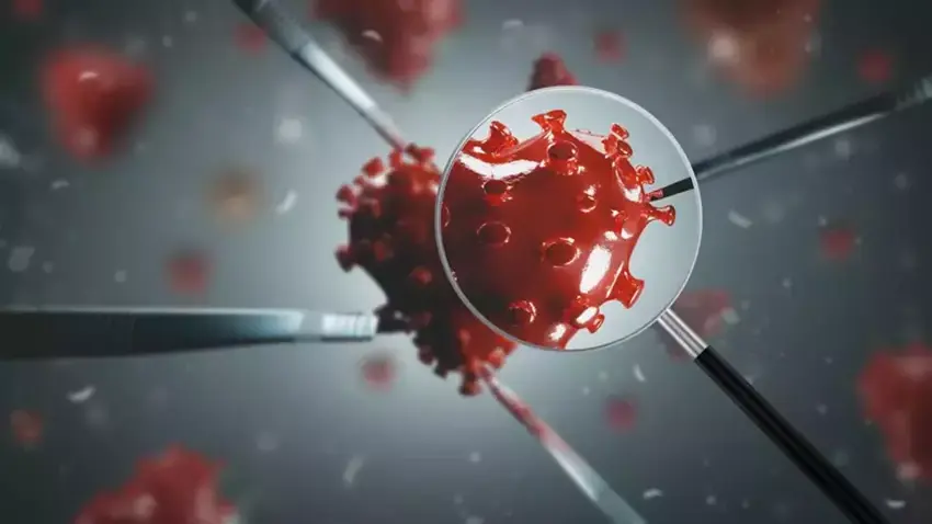 /haberresimleri/2024918/dikkat-yeni-bir-koronavirus-varyanti-yayilmaya-basladiheadLine.webp