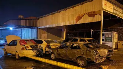Li Tarsus a Mersinê 5 erebeyan şewitandin