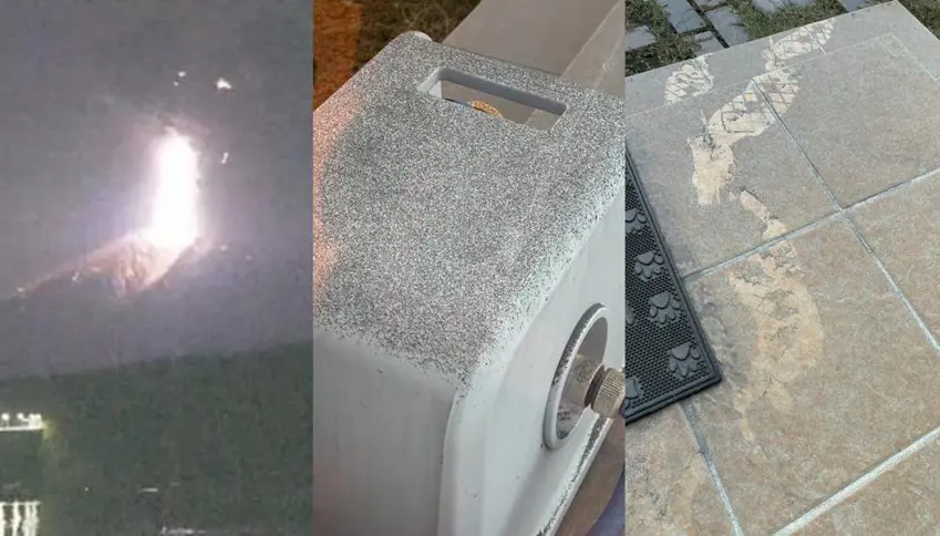 Arpija Sakurajima ya Japonyayê teqiya