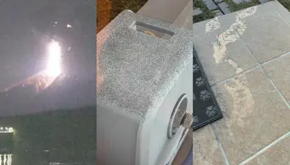 Arpija Sakurajima ya Japonyayê teqiya