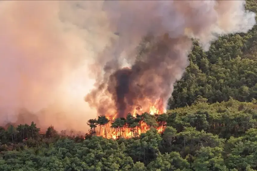 Îranê ji ber sewata li daristanên Hîrkaniyê banga alîkariya navneteweyî kir