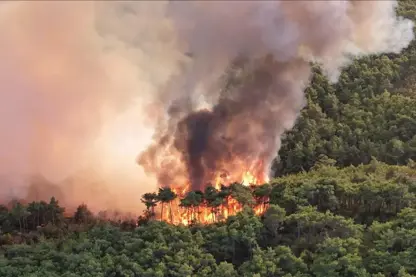 Îranê ji ber sewata li daristanên Hîrkaniyê banga alîkariya navneteweyî kir