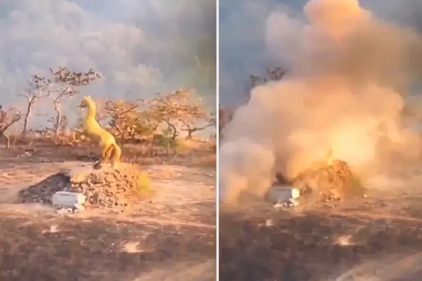 Leskerên Taylandê li abîda zêr ya hespê xistin