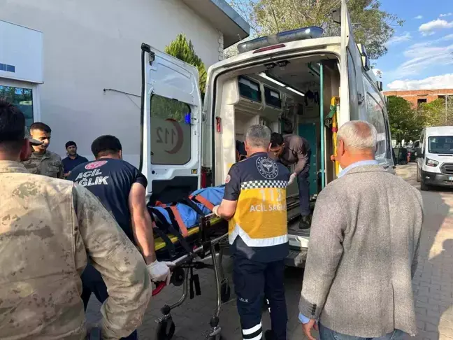 Li navça Bismil a Amedê du malbat li hev xistin: 7 kes birîndar bûn