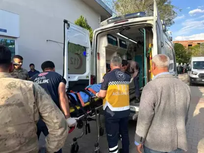 Li navça Bismil a Amedê du malbat li hev xistin: 7 kes birîndar bûn