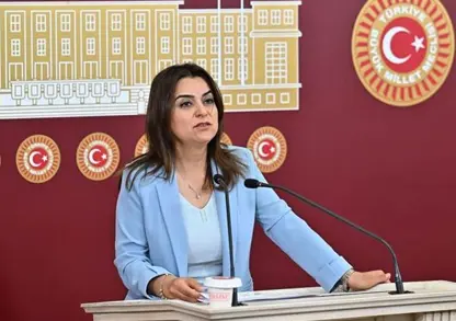 Parlementera Kurd Gülistan Kılıç di meclisê de dema bi Kurdî axifî mîkrofona wê girtin