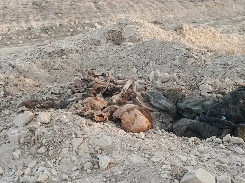 Li Şingalê goreke din a komî hate dîtin