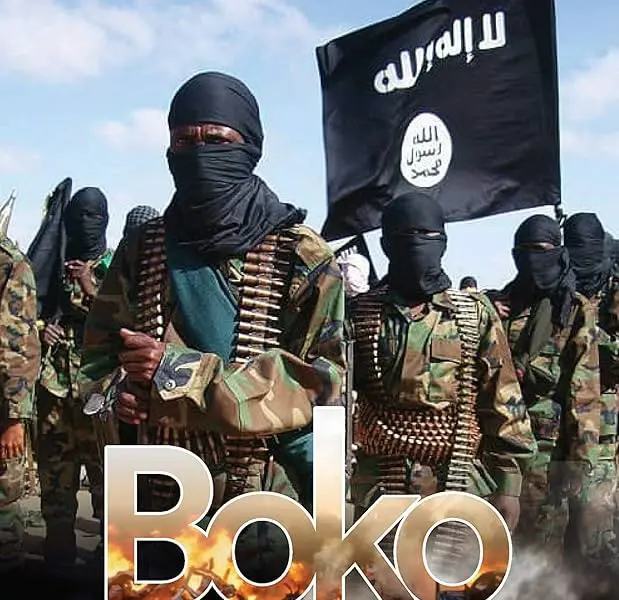/haberresimleri/2025611/li-kamer-n-boko-haram-r-s-kir-4-esker-hatin-kustinheadLine.webp