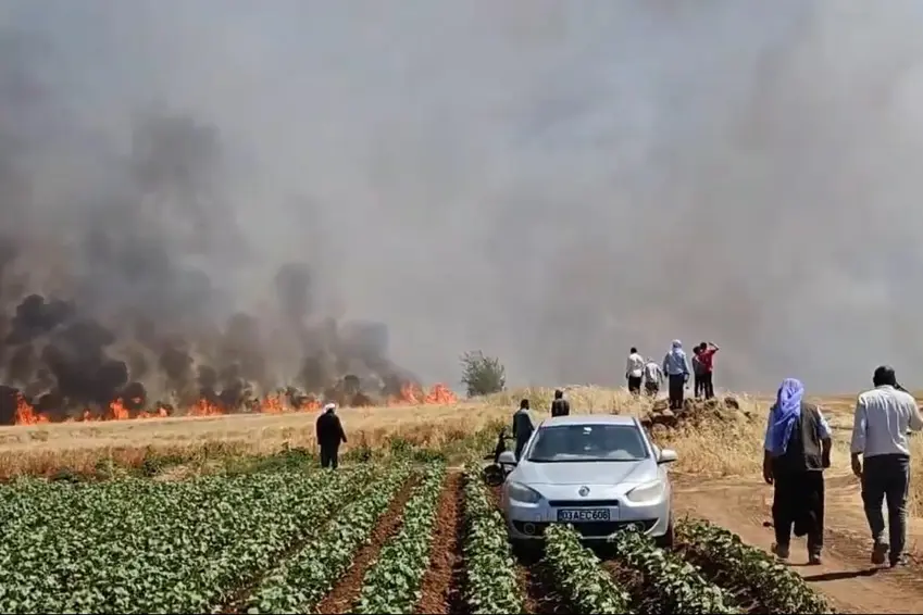 Li Wêranşarê agir bi zeviyê genim ket: 5 kes birîndar bûn, birîna kesekî xedar e