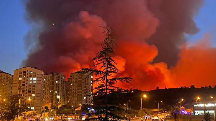 Bursa'da orman yangını: 480 hane ve 1765 kişi tahliye edildi