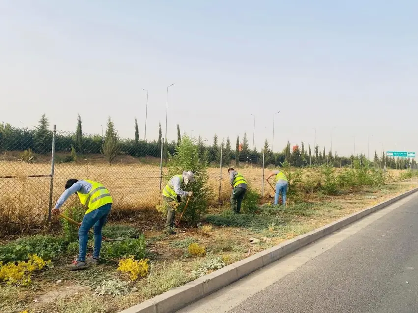 لە زاخۆ ھەڵمەتی چاندنی یەک ملیۆن دار ئەنجام دەدرێت
