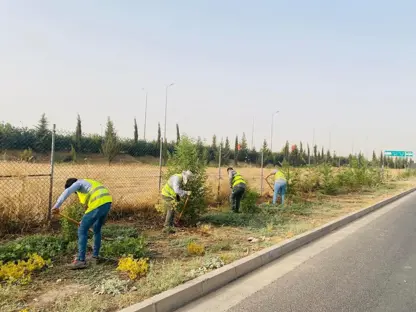لە زاخۆ ھەڵمەتی چاندنی یەک ملیۆن دار ئەنجام دەدرێت