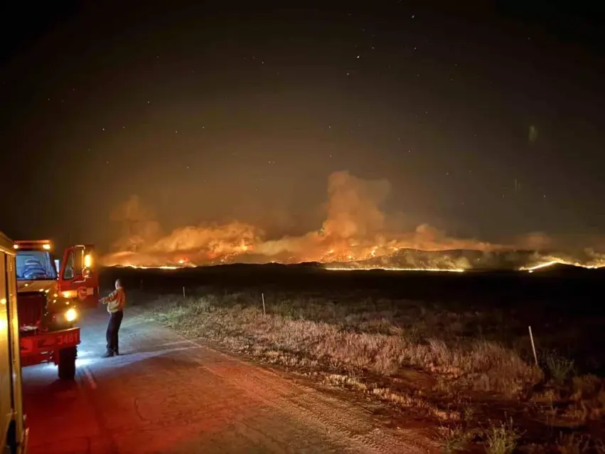 /haberresimleri/202574/li-california-sewata-daristan-52-hezar-donim-kir-weka-teraf-headLine.webp