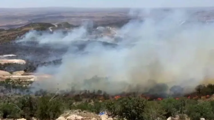 Şırnak ve Mardin’de orman yangını!