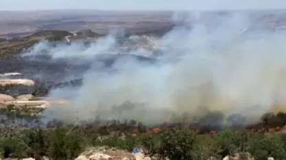 Şırnak ve Mardin’de orman yangını!