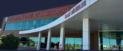 Li Nisêbînê di qezayê de Abdurrahman Göncü yê 69 salî wefat kir