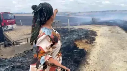 Li Tekirdağê 200 donim seha şewitî