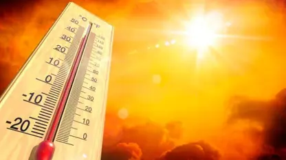Portekiz'de sıcak hava dalgası 264 can aldı
