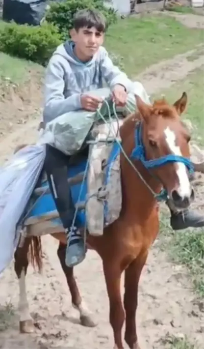 Li Qaxizmanê şivanê bi tivinga nêçîrê leyîst jiyana xwe ji dest da