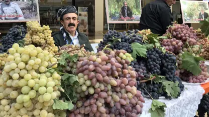 Li Duhokê di berhema tirî de rekor hat şikandin: 60 hezar ton