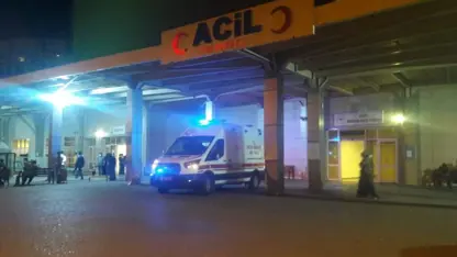 Li Rihayê bi sedema çêrandina heywanan şer derket: 1 kuştî, 2 birîndar