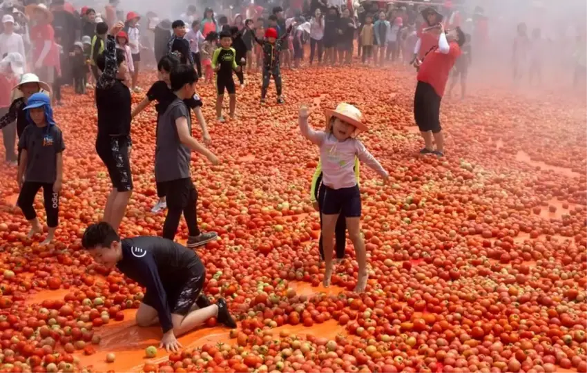 Festîwala firingiya ya bi navê ‘Festîwala Hwacheon’ hat pîrozkirin