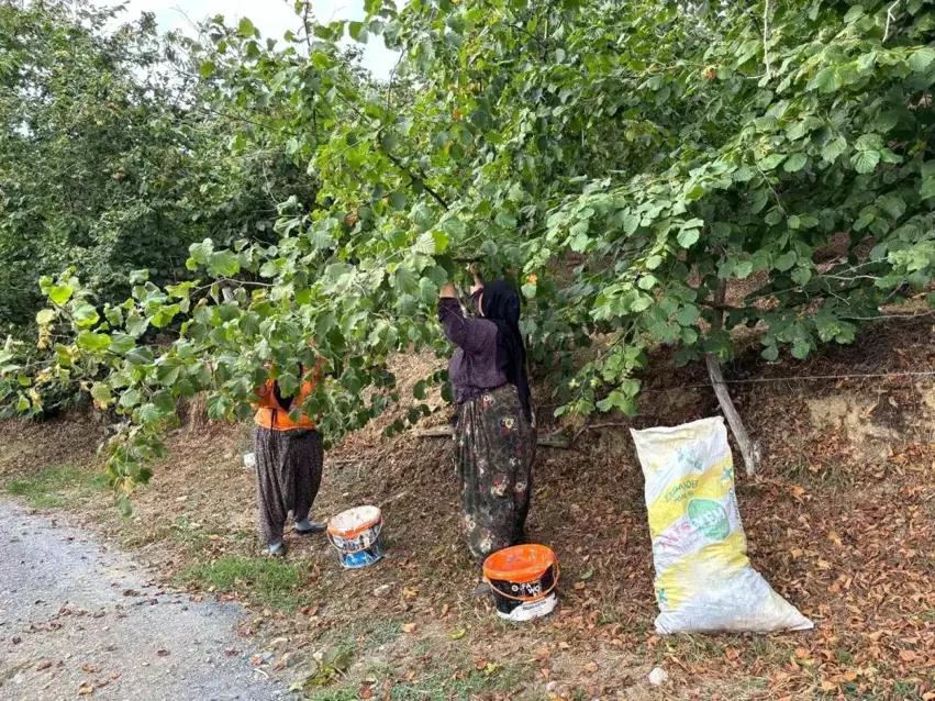 Li Tirkiyê dest b çînan bindeqan kirin