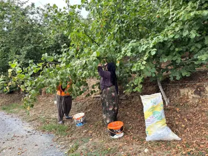 Li Tirkiyê dest b çînan bindeqan kirin