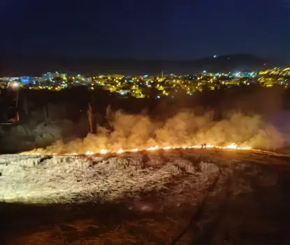 Li navça Farqînê agir bi taxa kenarê wê ket