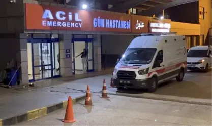 Li Dîlokê ji ber pirsgirêka arazî 2 malbat li hev xistin: 3 kuştî