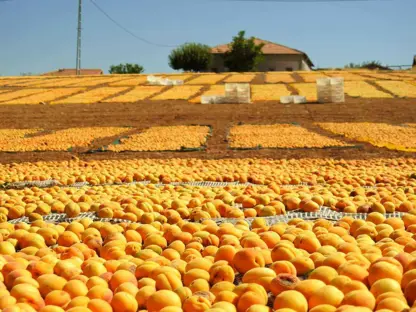 Li Meletiyê îxracata mişmişan %61 ket