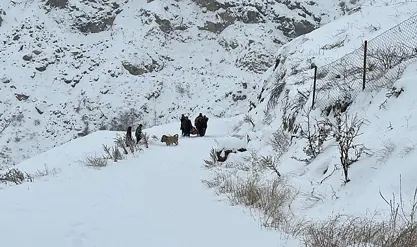 Li 3 navçên Semsûre dibistanan tatîl kirin