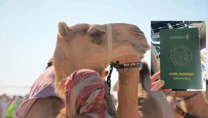 Erebistana Siûdî pasaport da deveyan